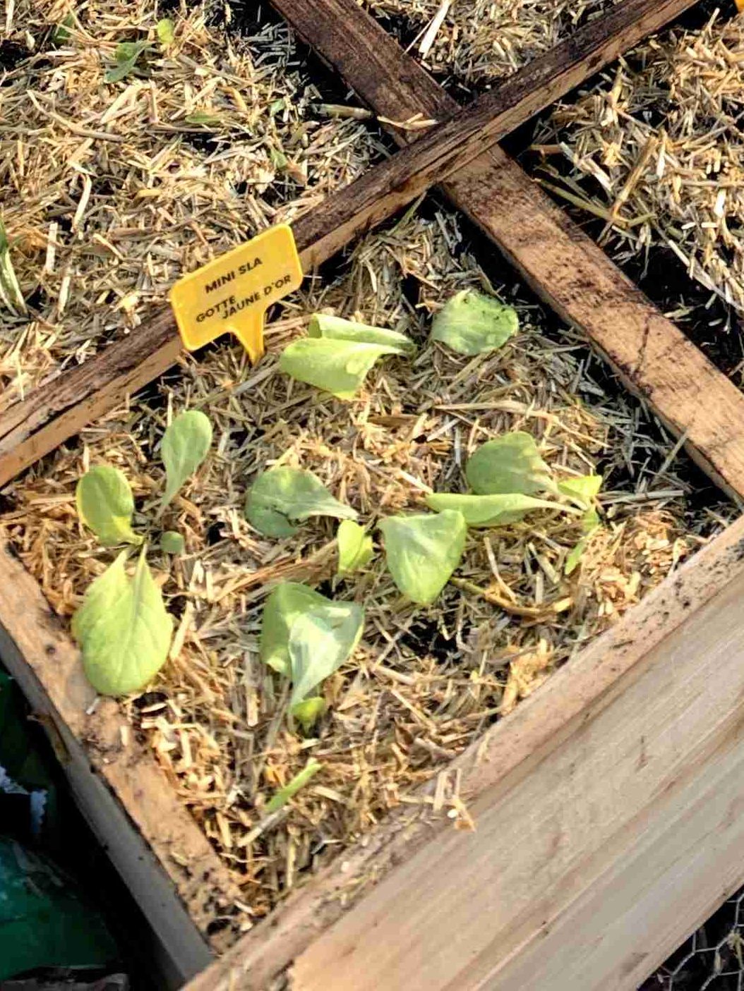 Eindelijk weer een bericht