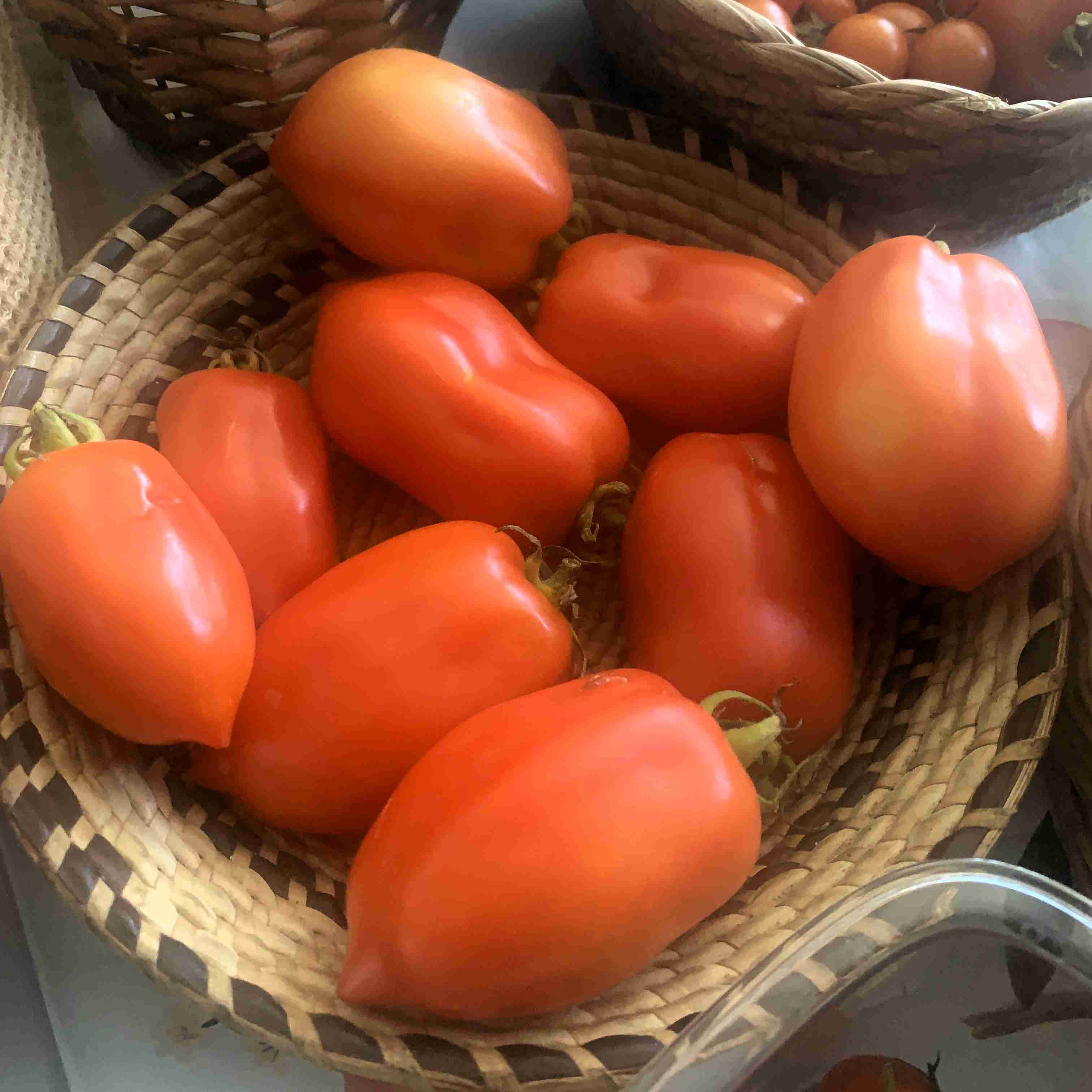 Tomaten, tomaten en nog es tomaten